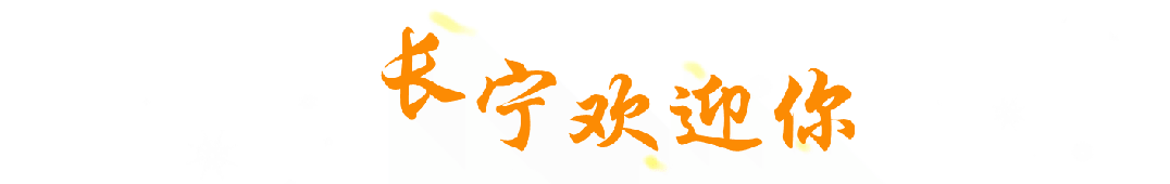 全国首展亮相虹桥南丰城～J9真人游戏第一品牌这一(图6)