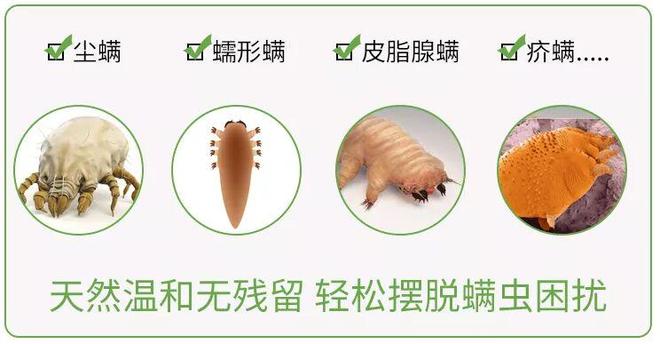 拆解螨虫危害与滋生条件实测多款产品九游会除螨虫最有效的方法是什么？(图9)